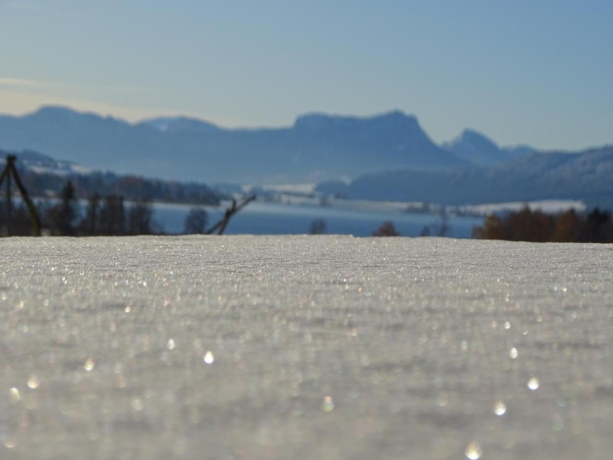Oberhofen am Irrsee Sunnhofヴィラ エクステリア 写真