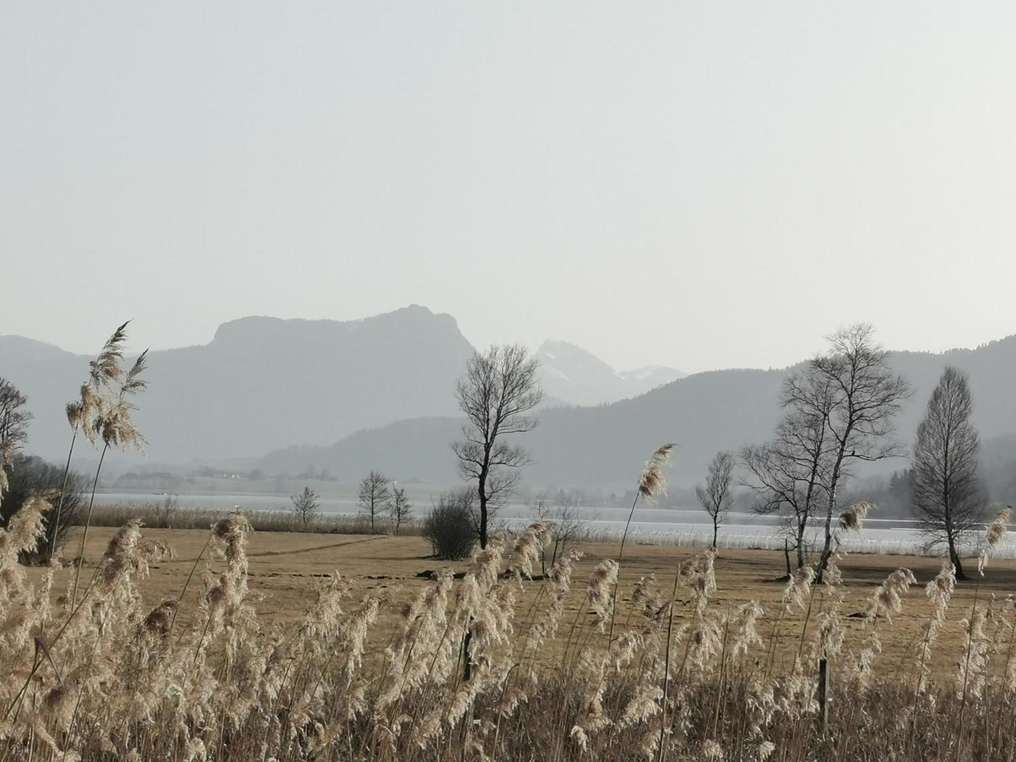 Oberhofen am Irrsee Sunnhofヴィラ エクステリア 写真