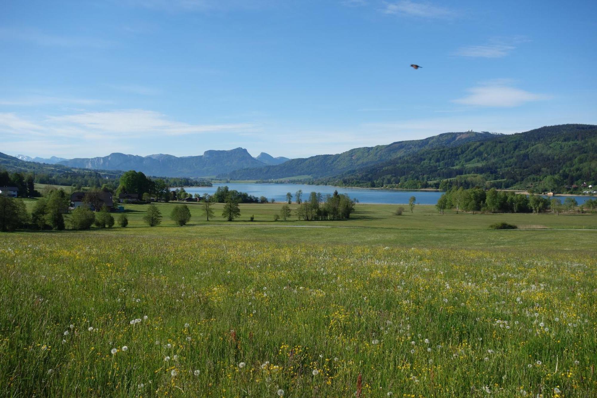 Oberhofen am Irrsee Sunnhofヴィラ エクステリア 写真