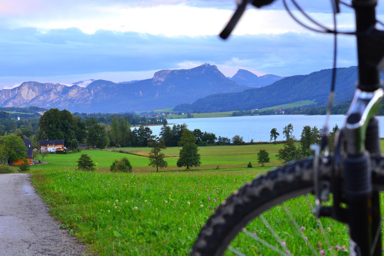Oberhofen am Irrsee Sunnhofヴィラ エクステリア 写真
